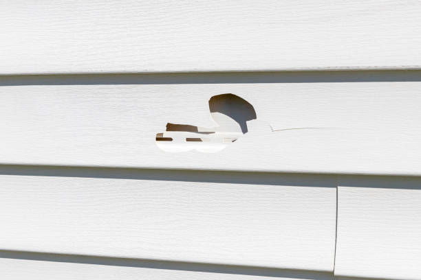 Siding Removal and Disposal in Enterprise, NV